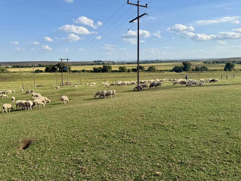 0 Bedroom Property for Sale in Harrismith Free State